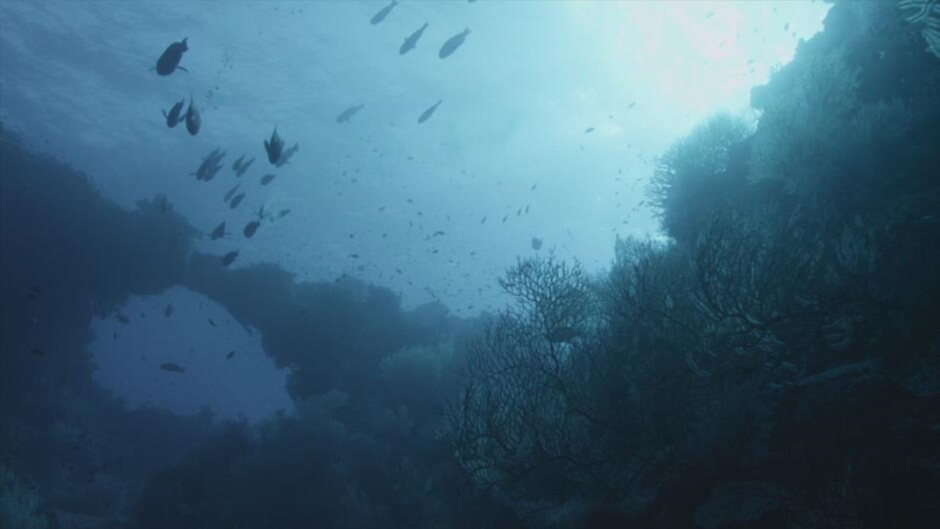 Ancient Aliens S22E7 Underwater Alien Bases