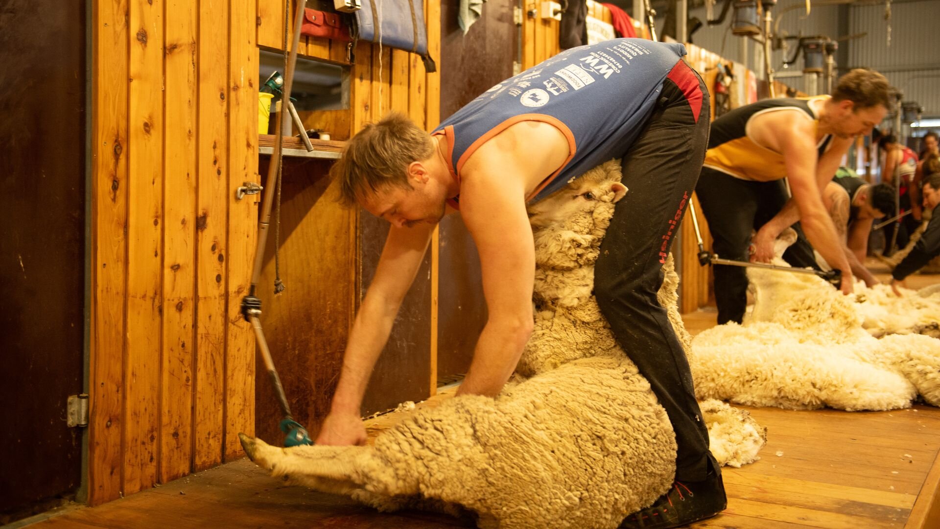 Back Roads S12E4 Shearers, NSW