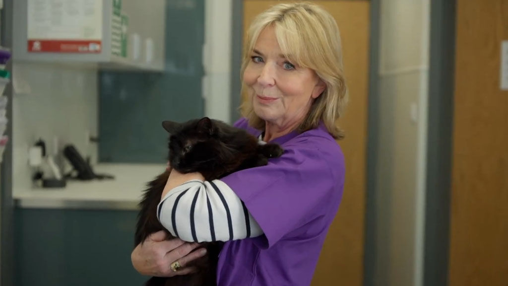 Fern Britton: Inside the Vet's