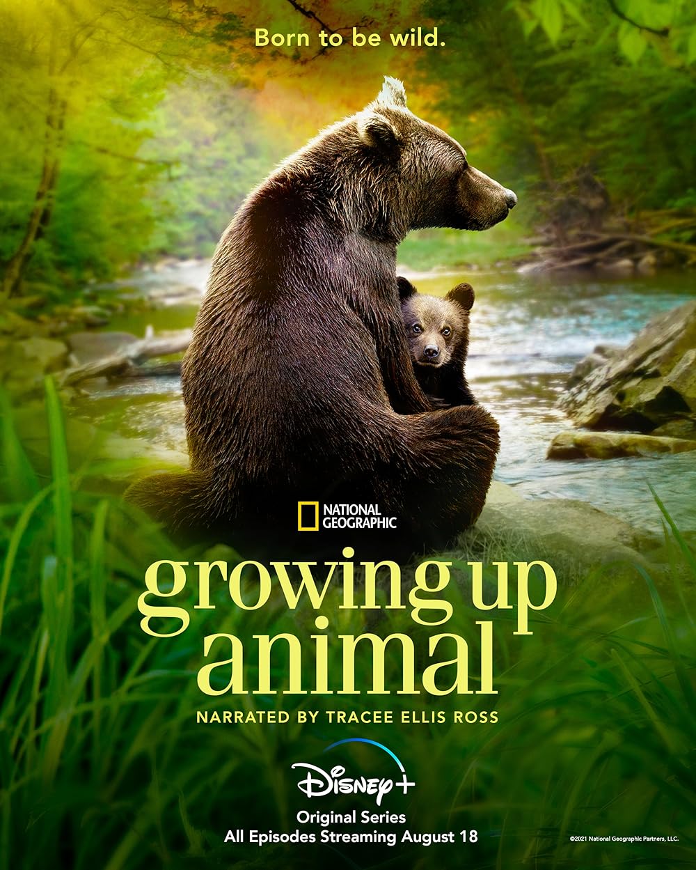 Growing Up Animal