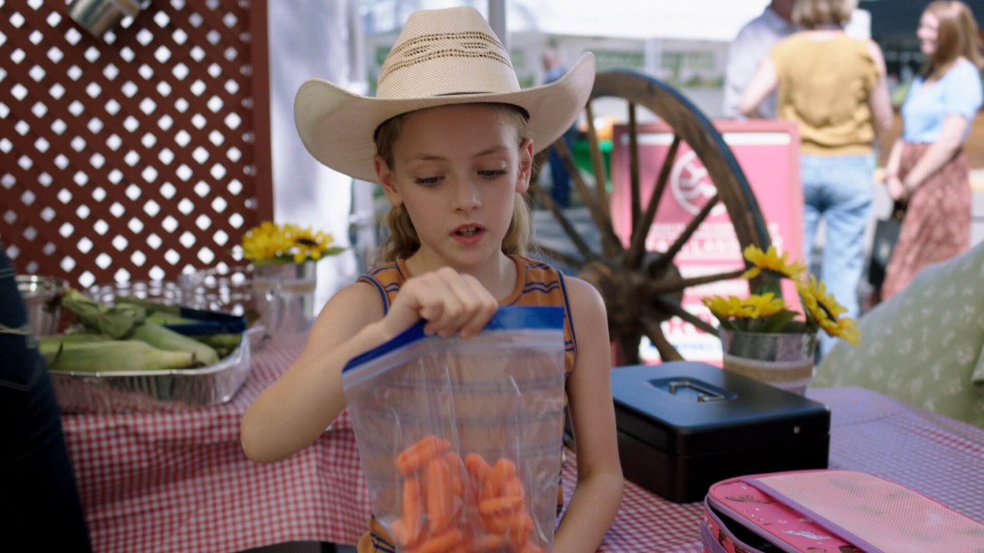 Heartland S18E8 Throwing Your Hat in the Ring