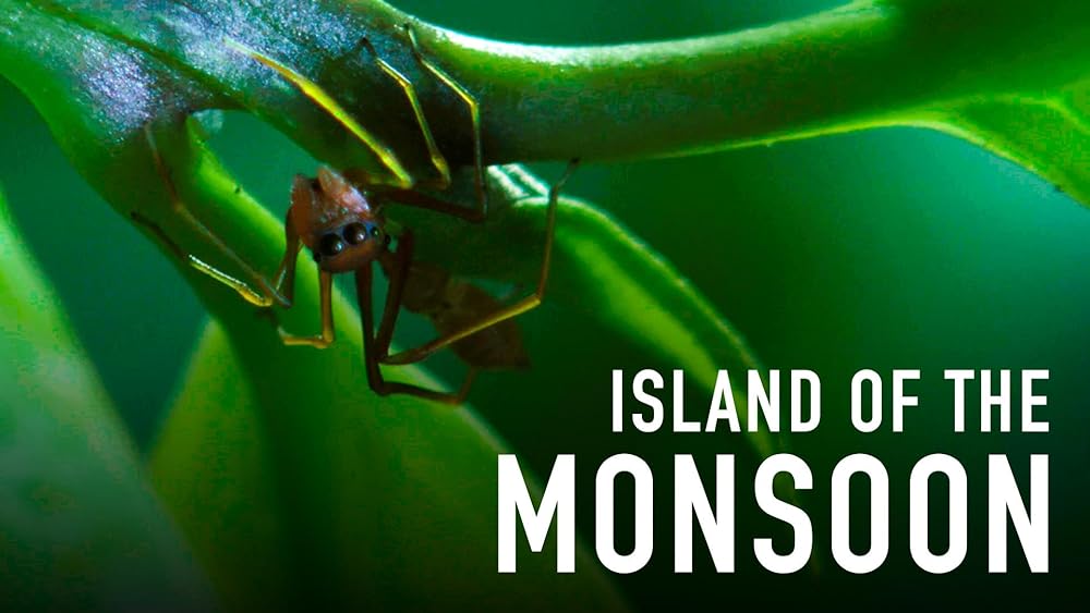 Island of the Monsoon