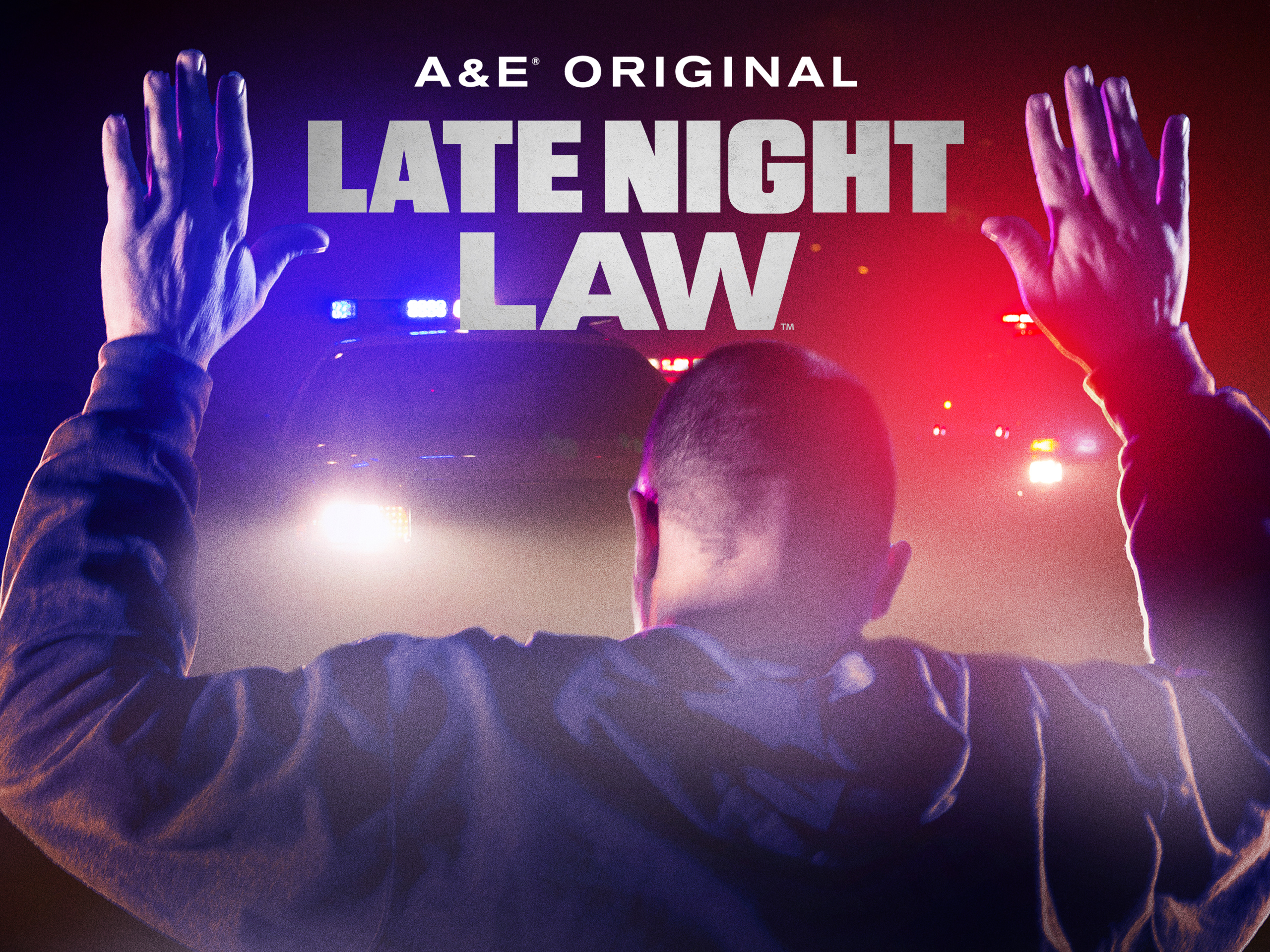 Late Night Law