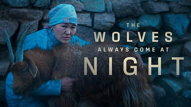 Storyville S2025E12 The Wolves Always Come at Night
