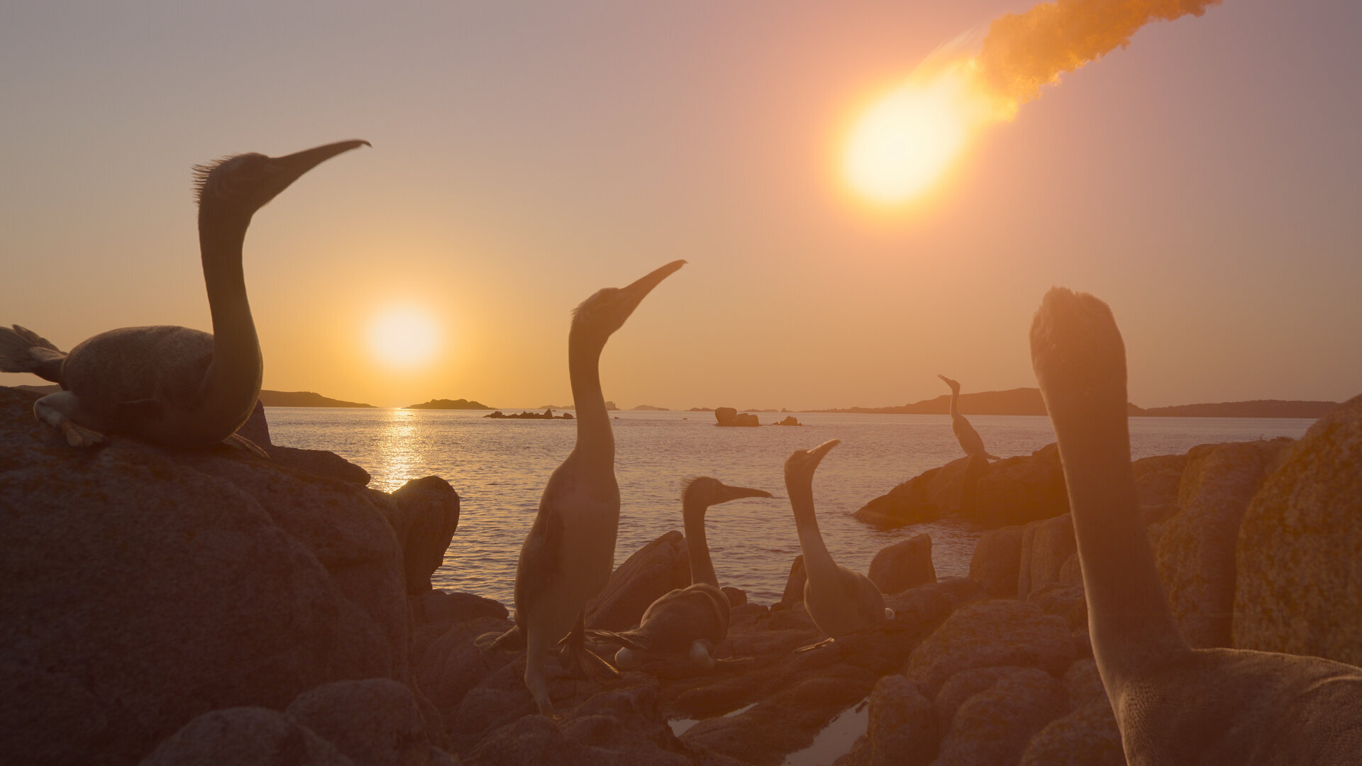 The Dinosaurs S1E4 Chapter 4: Fall