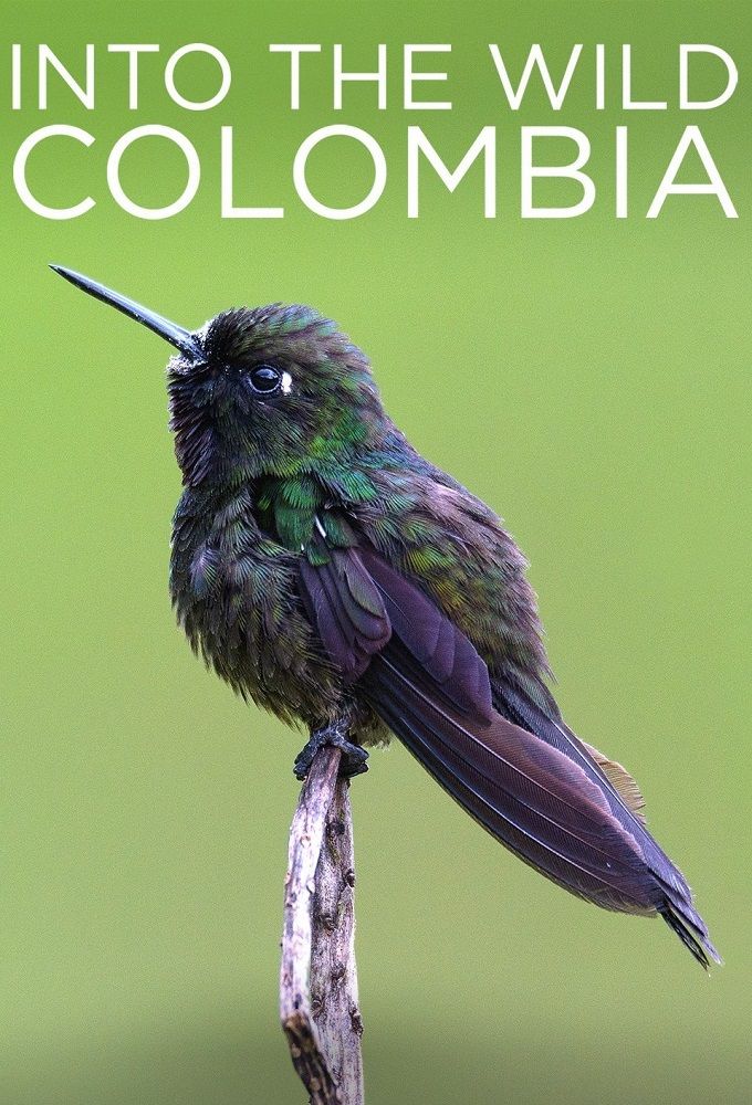 Wild Colombia